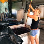 Pip Glover pressing Chambourcin