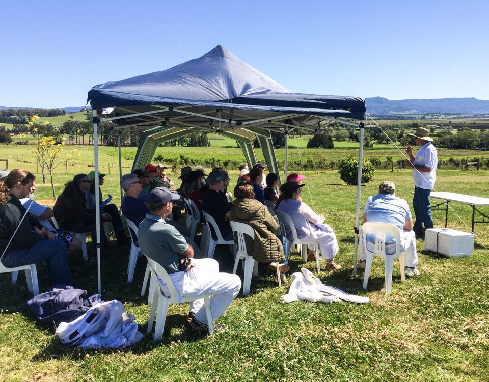 bee keeping workshops at mountain ridge wines